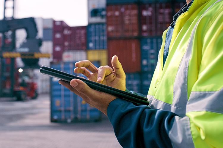 La gestion de vos exports/imports directement en ligne