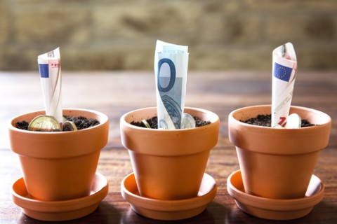 billet dans un pot de fleurs