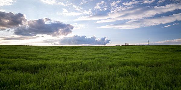 Paysage campagne Wallonie