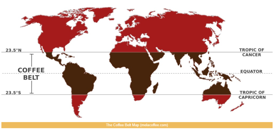 Infographie : The Coffee Belt, A World Map of the Major Coffee Producers